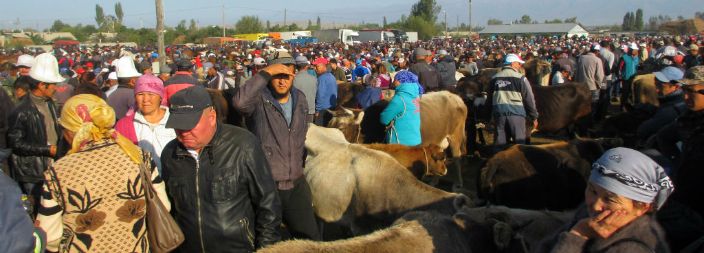 Kyrgyzstan Karakol market livestock bazaar huge travel adventure silk road